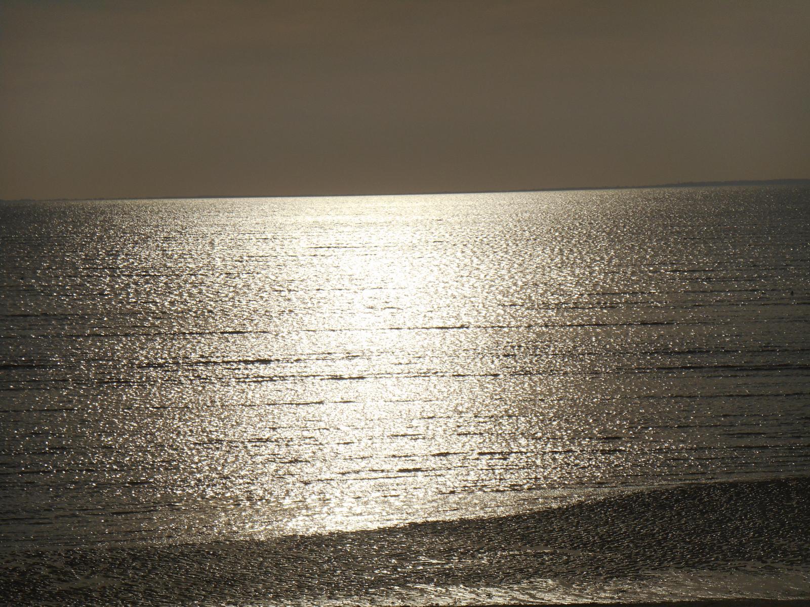 La mer argentée par le soleil ( Les Moutiers en Retz )
